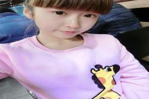猪猪侠赤焰机甲是什么动物